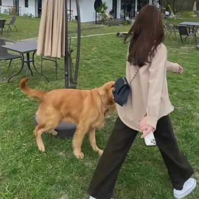 妙人妙事粤语